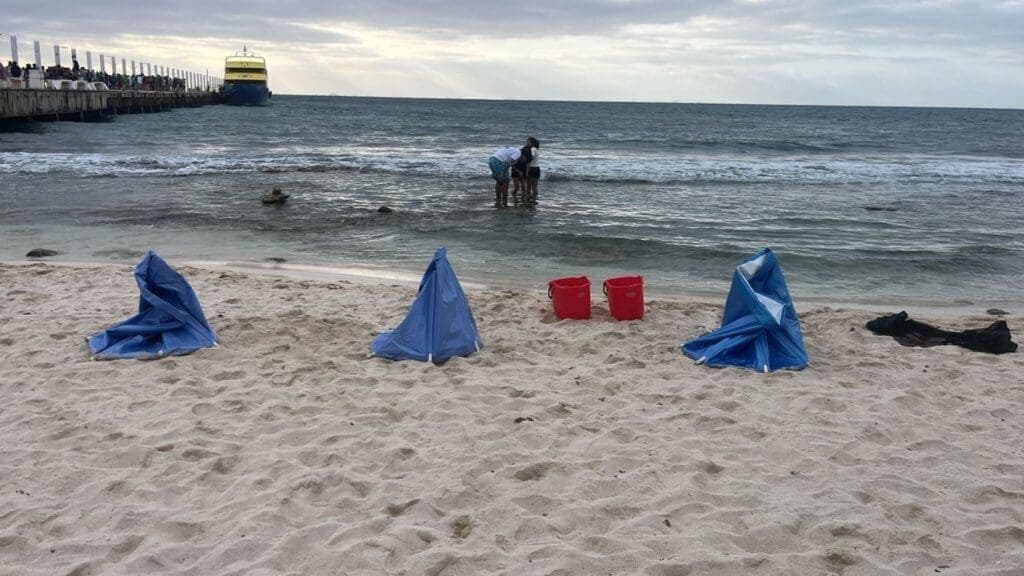 Retiran autoridades a argentinos que realizaban crioterapia en Playa del Carmen sin permisos