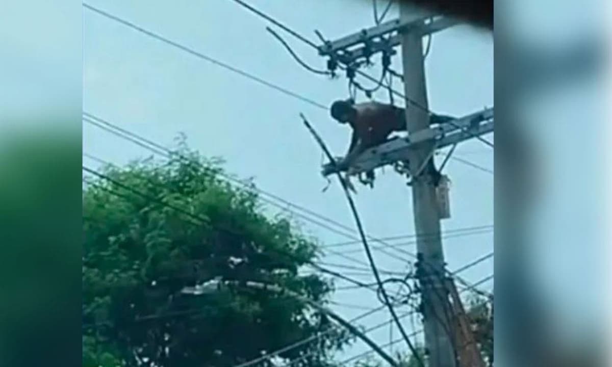 VIDEO: Delincuente termina electrocutado tras robar los cables de un poste