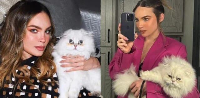 Belinda lanza desesperado llamado de ayuda para encontrar a su gato