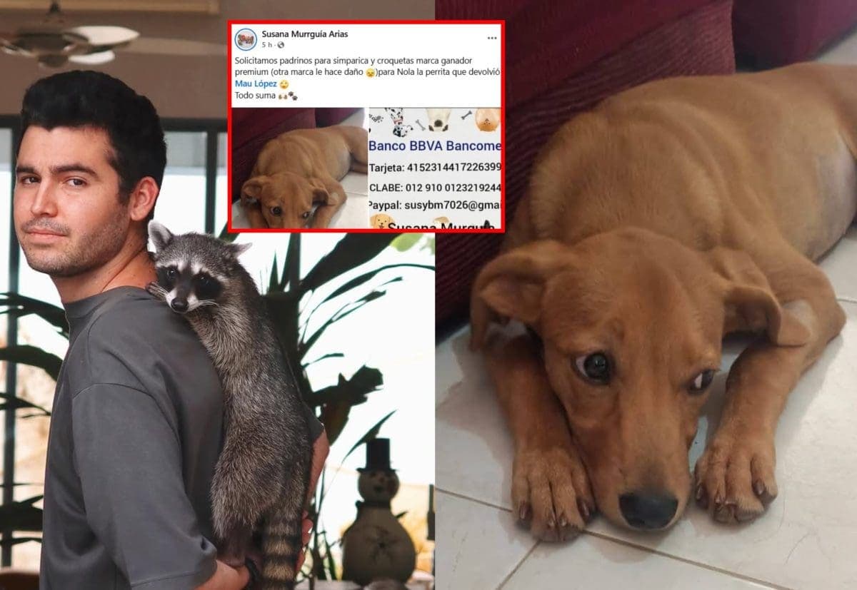 Exhiben a tiktoker yucateco por maltrato animal para obtener “likes”