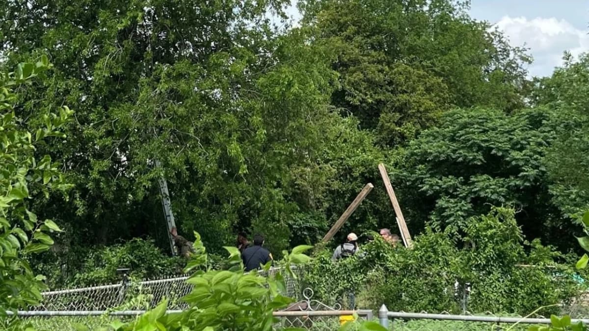 Migrante pasa ocho horas trepado en árbol para evitar ser deportado de Estados Unidos