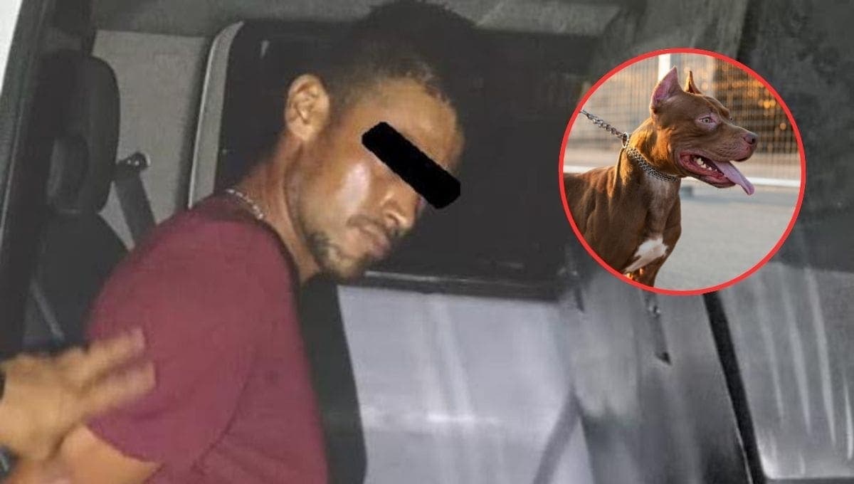 Hombre ordena a su perro pitbull atacar a su vecina en Monterrey