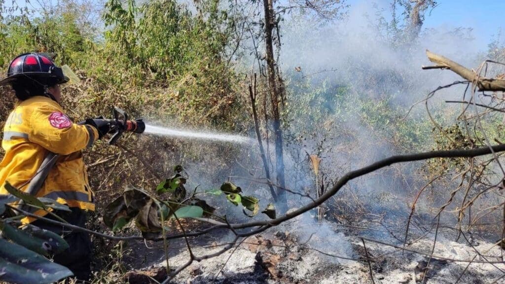 Controlan incendio en CTM y Lilis gracias a respuesta inmediata del Gobierno de Playa del Carmen