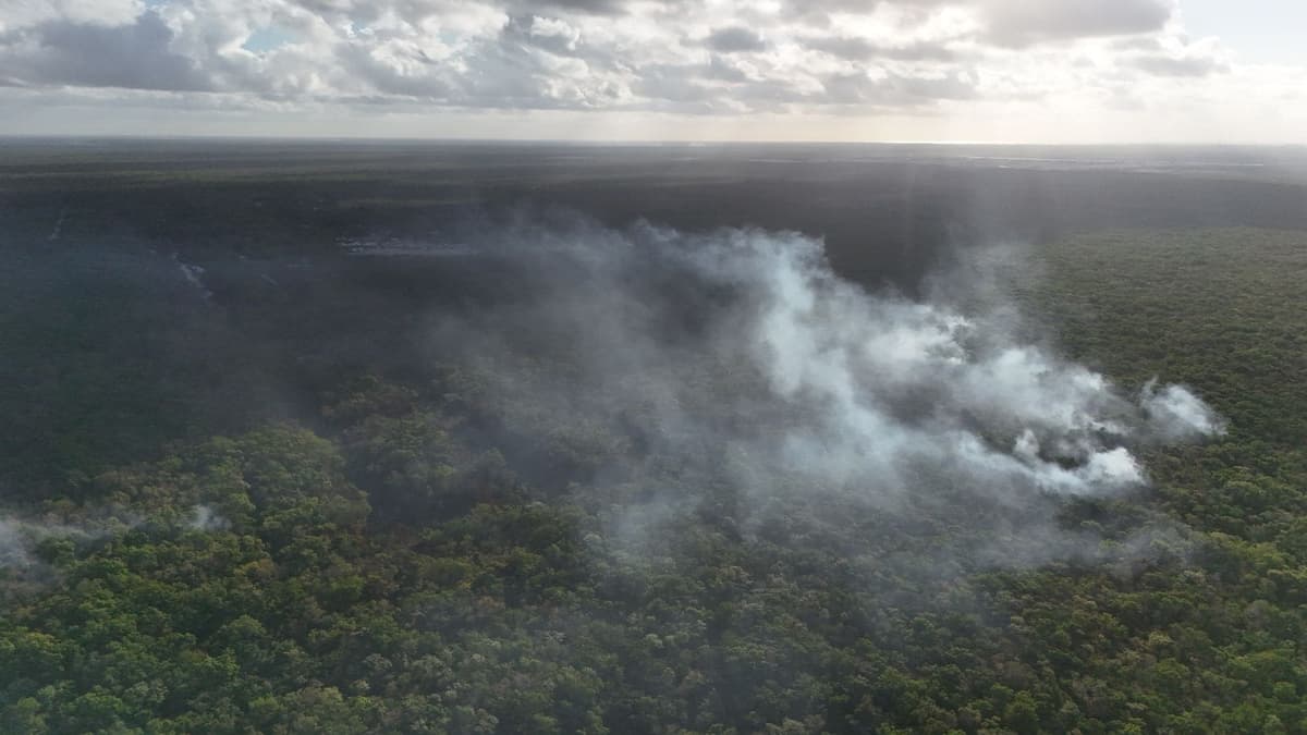 Liquidan incendio forestal en Playa del Carmen; 435 hectáreas resultaron afectadas