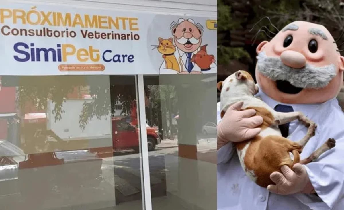Video: Dr. Simi prepara la apertura de consultorios veterinarios con atención a bajo costo en México