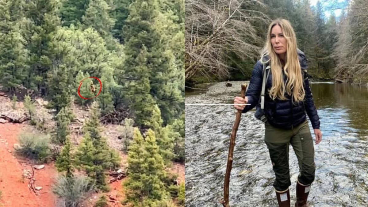 Video: Registran avistamiento de supuesto Pie Grande en Estados Unidos