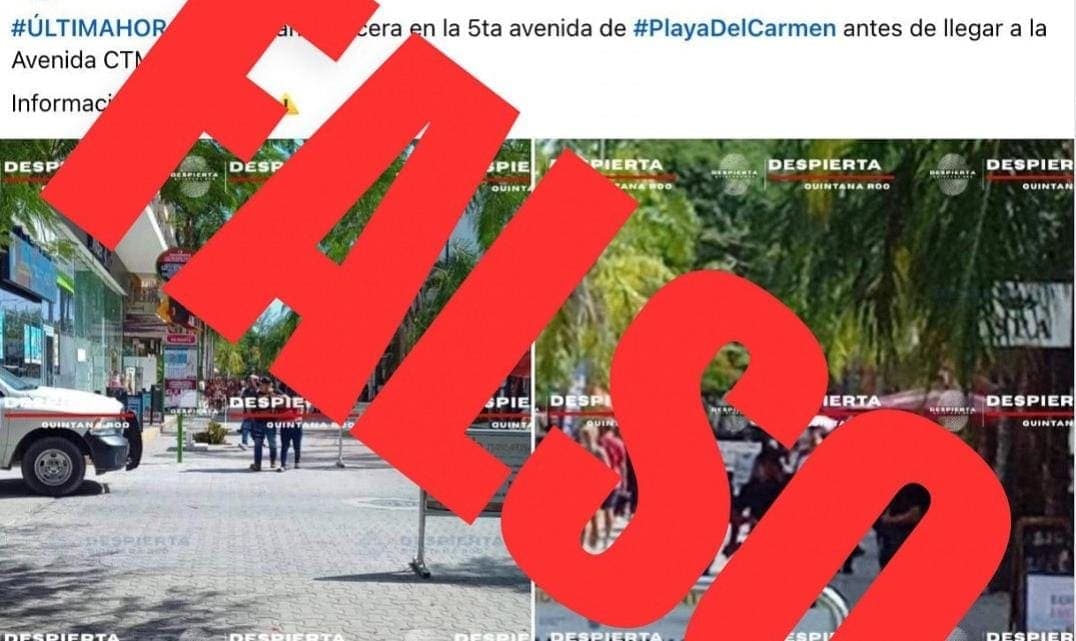 Desmiente Estefanía Mercado supuesta balacera en la Quinta Avenida de Playa del Carmen