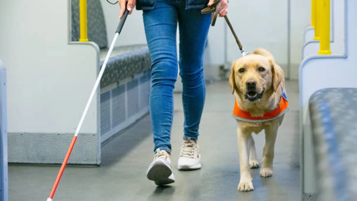 Video: Niegan a mujer ciega el ingreso al Metro de Cdmx con su perra guía