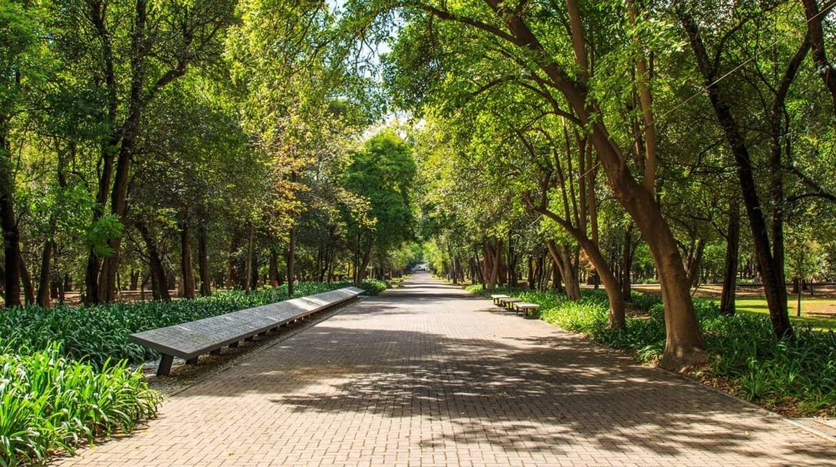 Rescatan a niño de seis años perdido en el Bosque de Chapultepec, en Cdmx