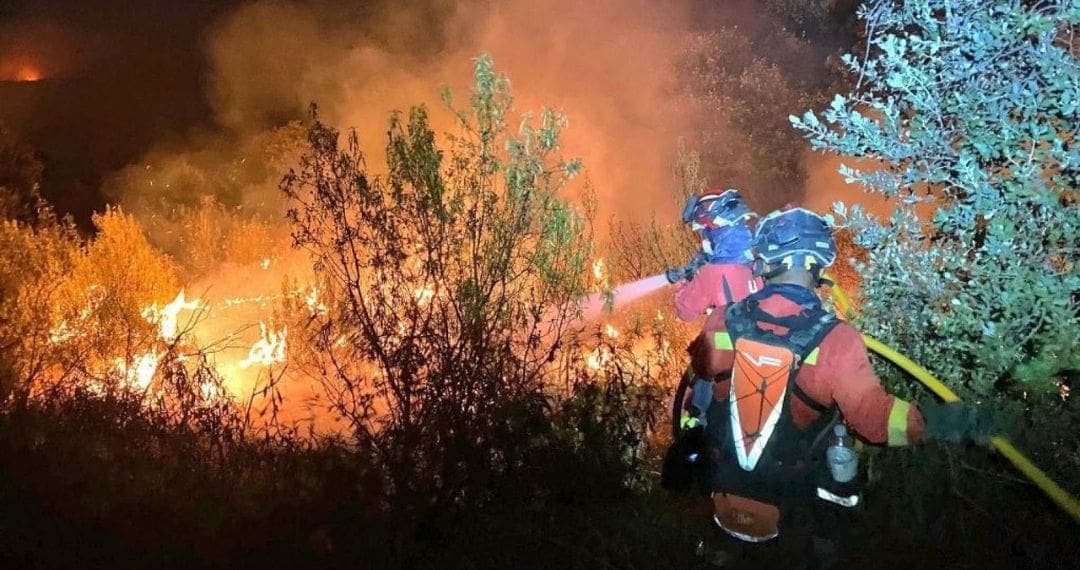 Video: Fallece trabajador al tratar de salvar a unos caballos en un incendio en España