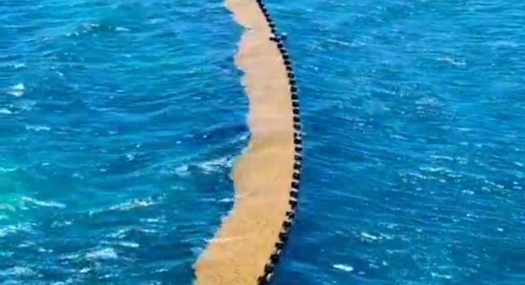 Video: Barrera antisargazo contiene el alga y mantiene limpias las costas de Playa del Carmen