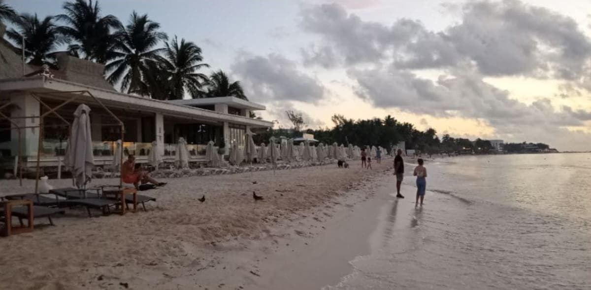 Zofemat retira camastros que invadían arenales de Mamitas en Playa del Carmen