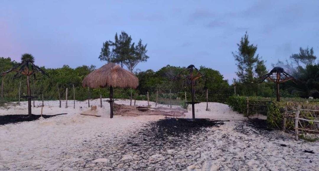 Incendio consume tres palapas en la 72, la costa pet friendly de Playa del Carmen