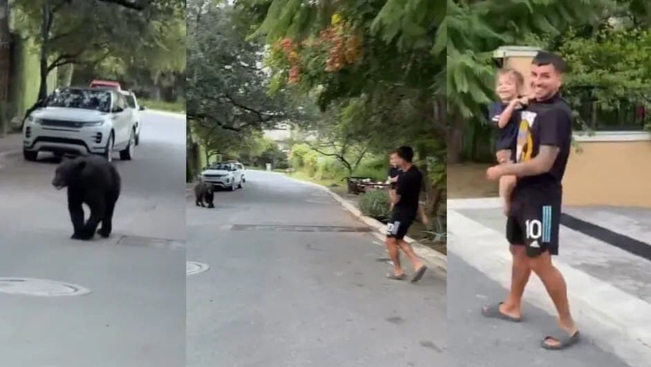 Video: Futbolista argentino Ángel Correa protagoniza curioso encuentro con un oso en Nuevo León