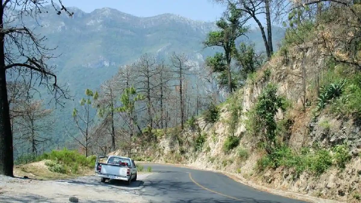Joven es hospitalizado tras caer de una montaña de 100 metros en Nuevo León