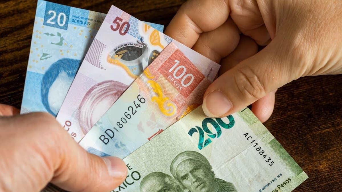 Video: Alertan que el SAT aumentará hasta 20% las primas de seguros de auto y gastos médicos en 2026