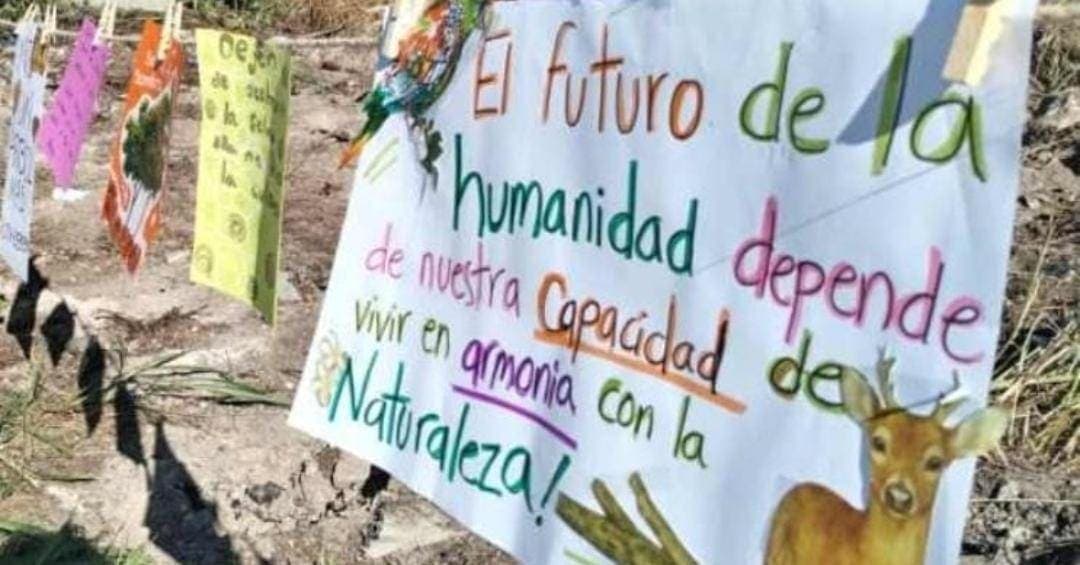 Habitantes de varias colonias de Playa del Carmen acusan a Bepensa por devastar la selva en Xcalacoco