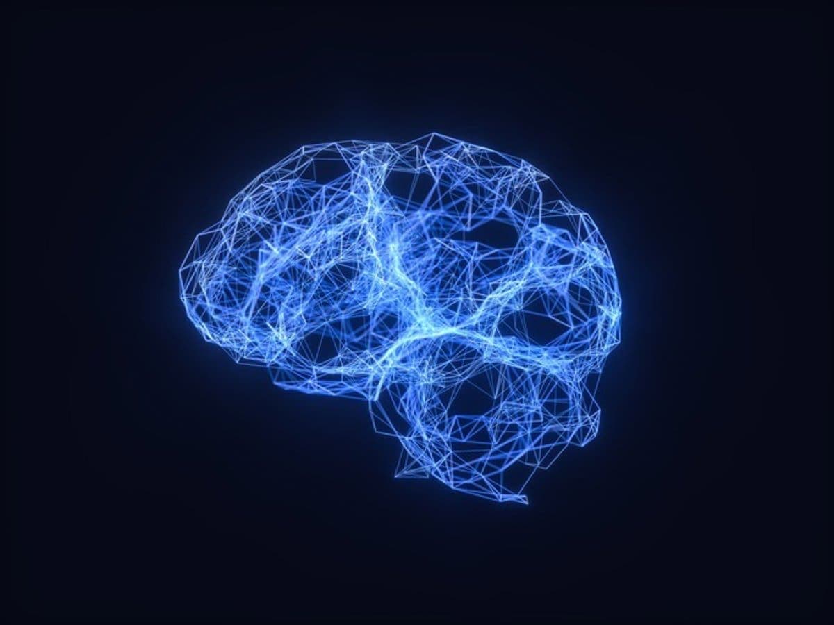 Astrocitos: los héroes silenciosos que protegen la salud del cerebro