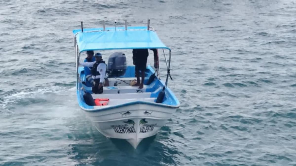Extranjera pierde la vida tras impactar su lancha contra una ballena en Puerto Vallarta, Jalisco