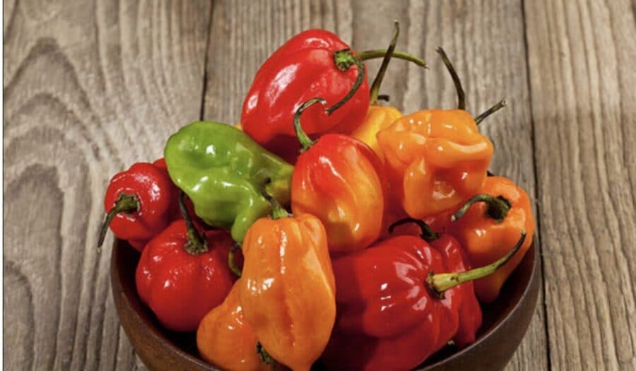 Sabor y fuego: Hoy se celebra el Día Internacional de la Comida Picante