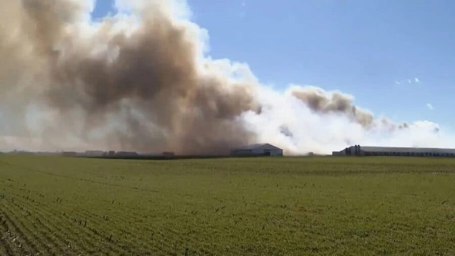 Video: Incendio en complejo agrícola mata a más de 6 mil cerdos en Ohio, Estados Unidos