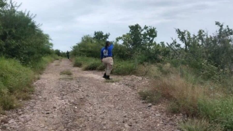 Matan a madre buscadora Rubí Patricia Gómez en Mazatlán, Sinaloa